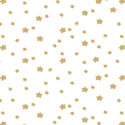 Star Light in Golden Canyon on White