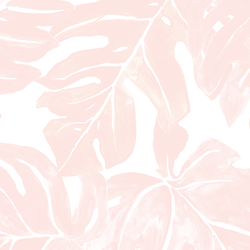 Large Leafy Monstera in Shell Pink