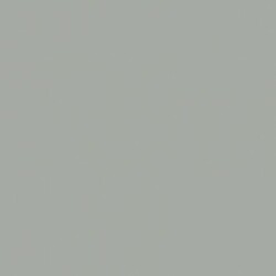 Solid in Light Gray