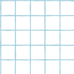 Windowpane in Robins Egg on White
