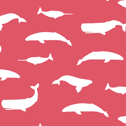 Whale Silhouette in Passion