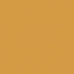 Solid in Dark Gold