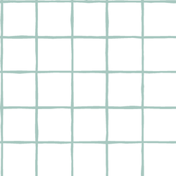 Windowpane in Aspen on White
