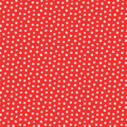 Wild Daisy in Poppy Red