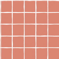 Windowpane in Desert Rose