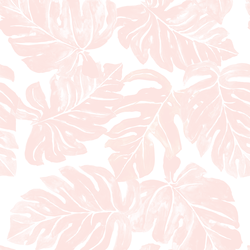 Leafy Monstera in Shell Pink