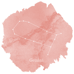 Gemini Sign Panel in Tulip