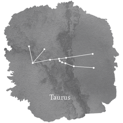 Taurus Sign Panel in Charcoal