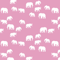 Elephant Silhouette in Begonia