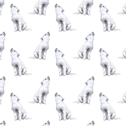 Little Arctic Wolf in White