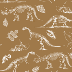 Fossils in Ochre