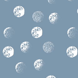 Moondance in Dusk
