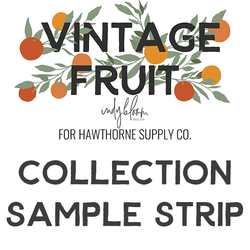Vintage Fruit Sample Strip