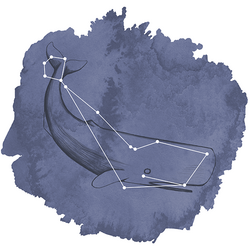 Cetus Panel in Indigo