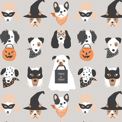Halloween Pups in Pumice