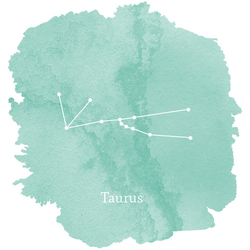 Taurus Sign Panel in Succulent