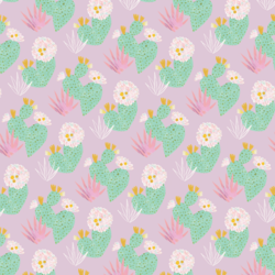 Prickly Pear in Lavender
