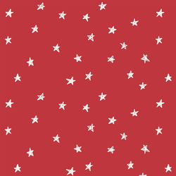 Stars in Poinsettia