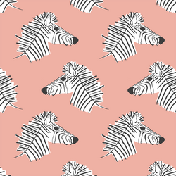 Burchell Zebra in Peony