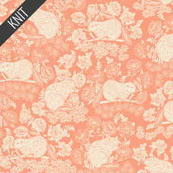 Beaver and Bloom Knit in Peach