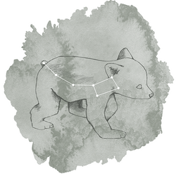 Ursa Minor Panel in Sage