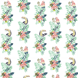 Bird Watching in White