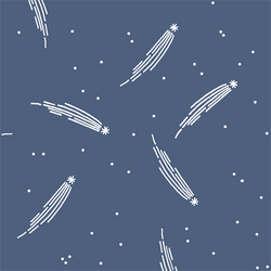 Meteor Shower in Midnight