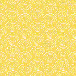 Shells in Sun