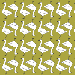 Goslings in Zest