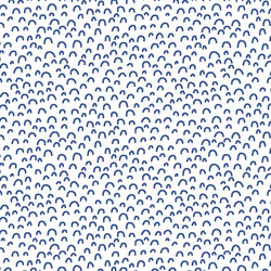 Doodle in Blue Jay on White