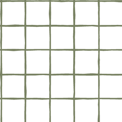 Windowpane in Olive on White