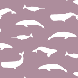 Whale Silhouette in Celestial