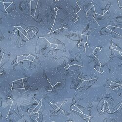 Constellations in Midnight