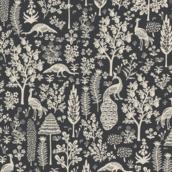 Menagerie Silhouette in Black