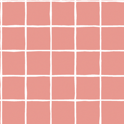 Windowpane in Tulip