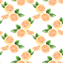 Citrus Slices in White