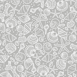 Seashells in Pebble