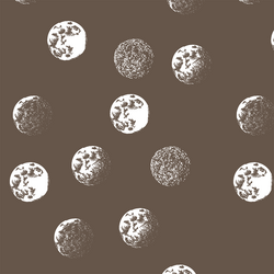 Moondance in Timber