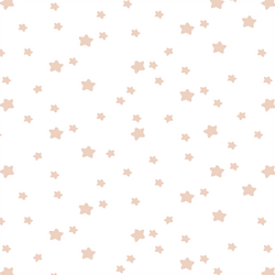 Star Light in Shell on White