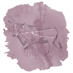 Taurus Panel in Celestial