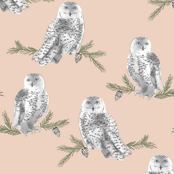 Snowy Owl in Shell