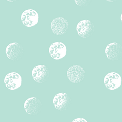 Moondance in Aloe