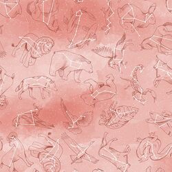 Constellations in Tulip