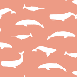Whale Silhouette in Grapefruit