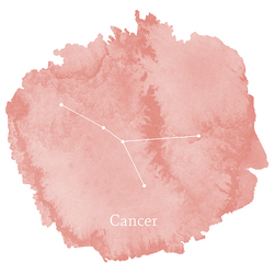 Cancer Sign Panel in Tulip