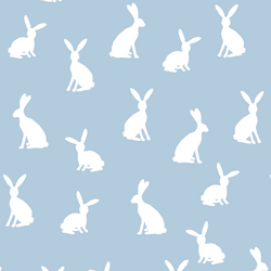Cottontail Silhouette in Sky