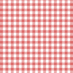 Small Buffalo Plaid in Poppy