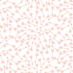 Arrows in Petal on White