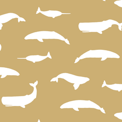 Whale Silhouette in Golden Canyon