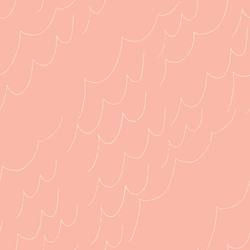 Rinse in Rosa